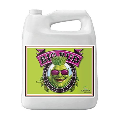 Advanced Nutrients GL525050-12 Big Bud Liquid Fertilizer, 250 mL, Brown/A