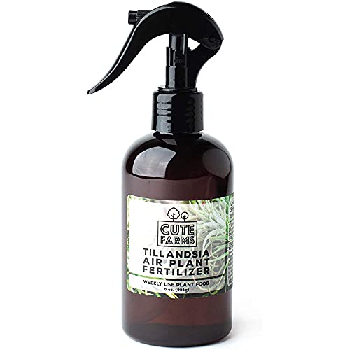 Cute Farms Tillandsia Air Plant Fertilizer | Gentle Weekly Use Formula Plant Food | Formulated Nutrients for Air Plants (8 oz. Spray Bottle)