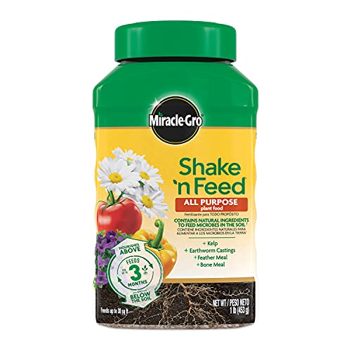 Miracle-Gro Shake 'N Feed All Purpose Plant Food, For In-Ground and Container Plants, Feeds for up to 3 Months, 1 lb.