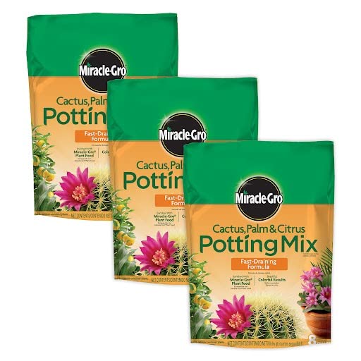 Miracle-Gro Cactus, Palm and Citrus Potting Mix, For Indoor or Outdoor Container Plants, Great for Succulents, 8 qt., 3-Pack
