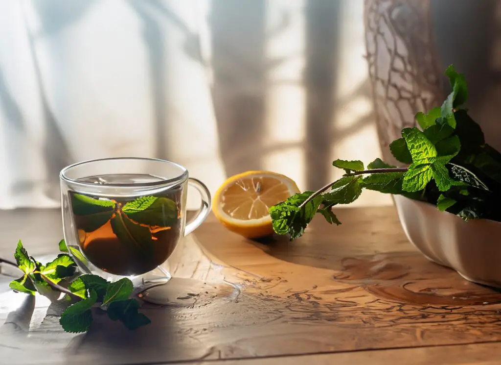 benefit of mint tea