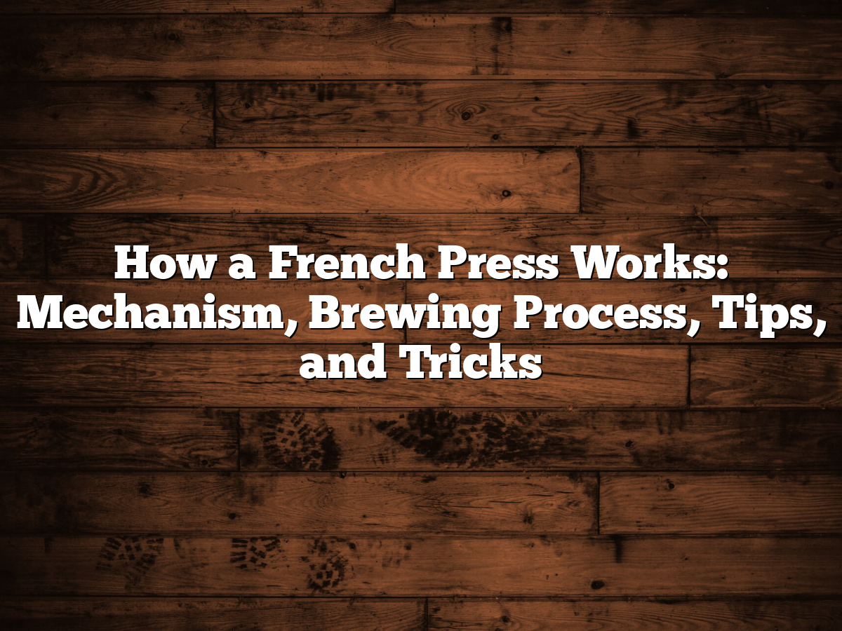 How A French Press Works: Mechanism, Brewing Process, Tips, And Tricks
