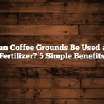 Can Coffee Grounds Be Used as Fertilizer? 5 Simple Benefits