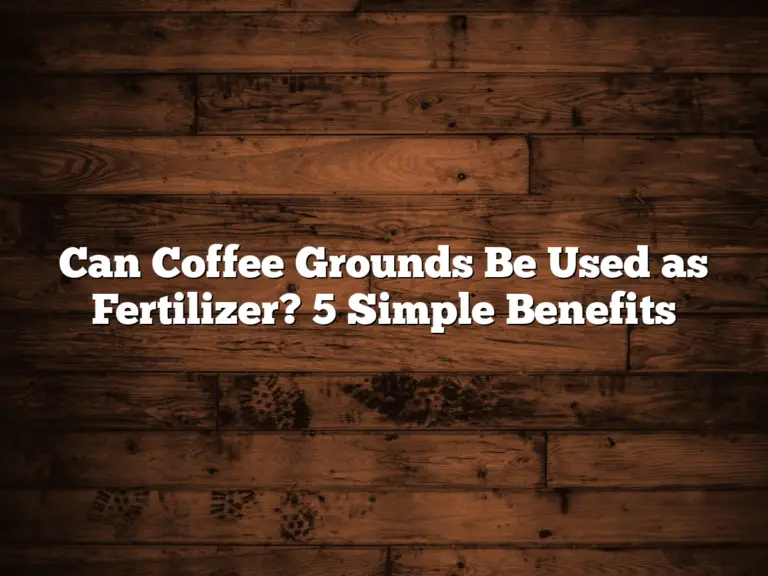 Can Coffee Grounds Be Used as Fertilizer? 5 Simple Benefits