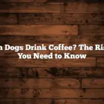 Can Dogs Drink Coffee? The Risks You Need to Know