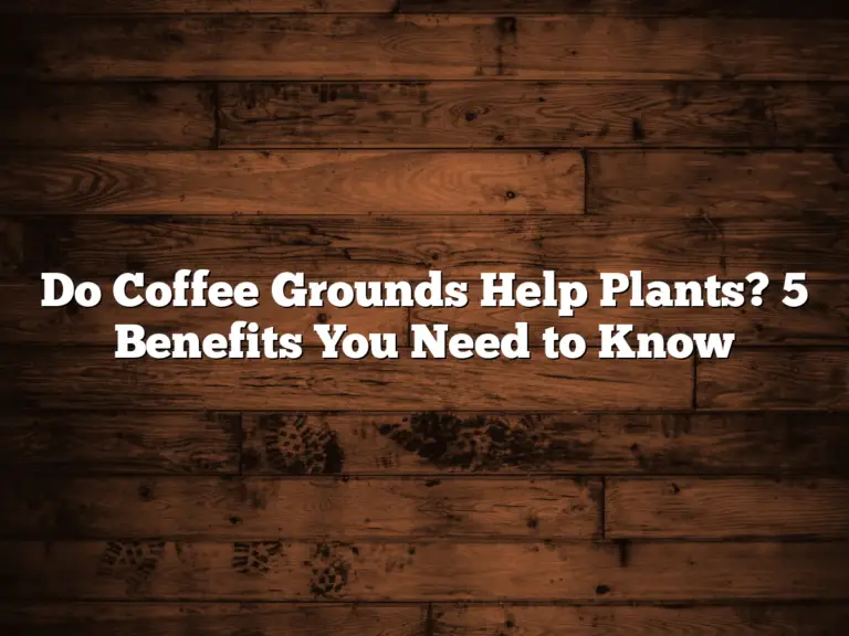 Do Coffee Grounds Help Plants? 5 Benefits You Need to Know