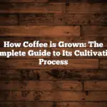 How Coffee is Grown: The Complete Guide to Its Cultivation Process