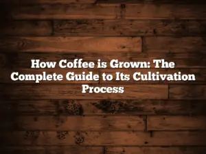 How Coffee is Grown: The Complete Guide to Its Cultivation Process