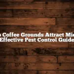 Do Coffee Grounds Attract Mice: Effective Pest Control Guide