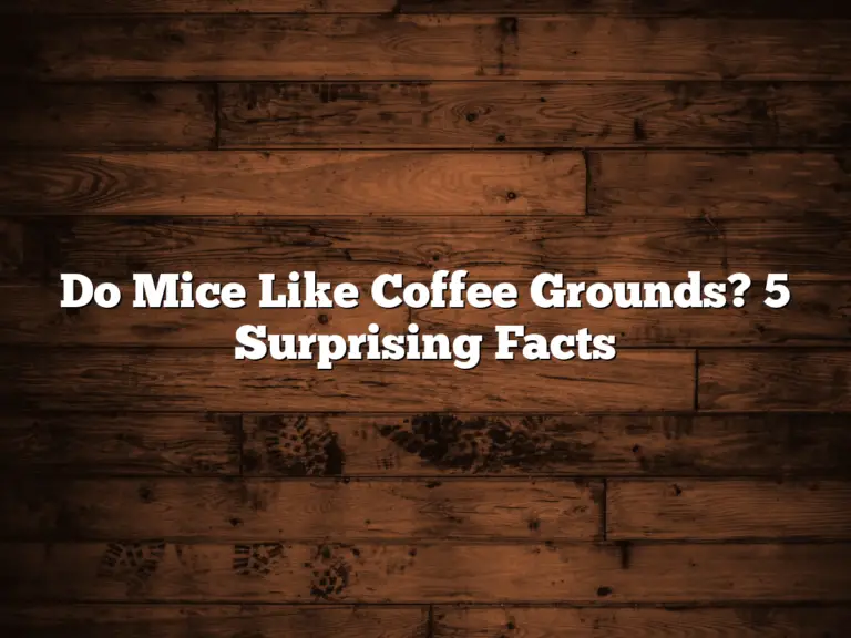 Do Mice Like Coffee Grounds? 5 Surprising Facts