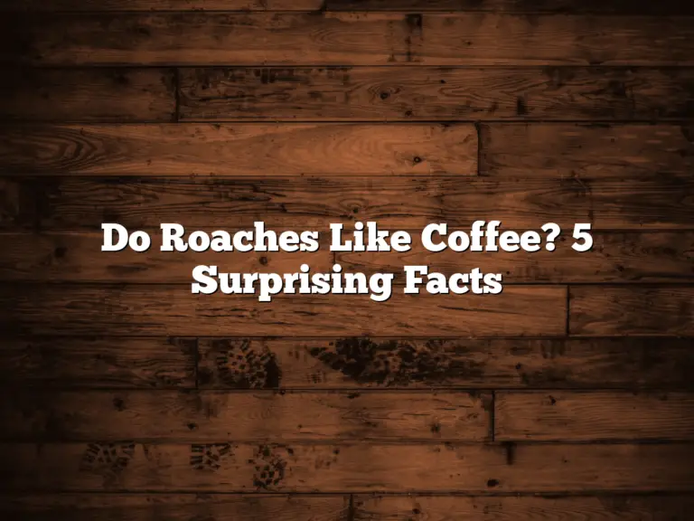 Do Roaches Like Coffee? 5 Surprising Facts