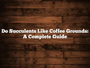 Do Succulents Like Coffee Grounds: A Complete Guide