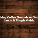 Using Coffee Grounds on Your Lawn: A Simple Guide