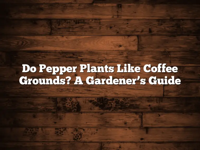 Do Pepper Plants Like Coffee Grounds? A Gardener’s Guide