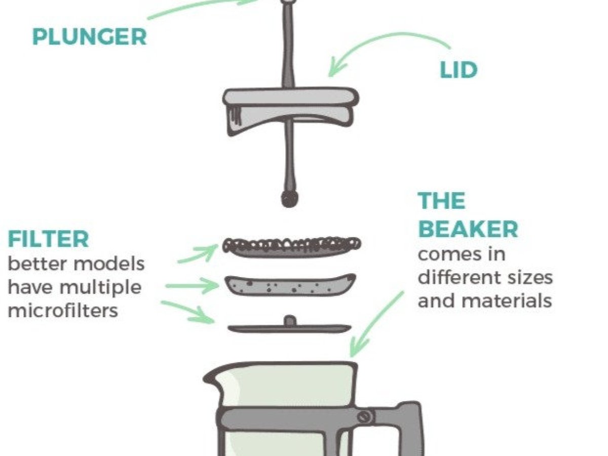 How A French Press Works: Simple Guide To Better Coffee