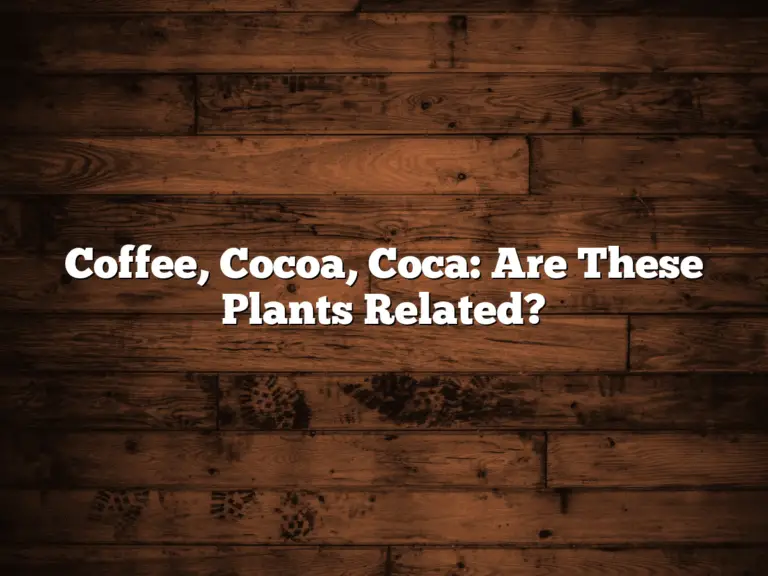Coffee, Cocoa, Coca: Are These Plants Related?