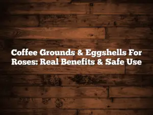 Coffee Grounds & Eggshells For Roses: Real Benefits & Safe Use