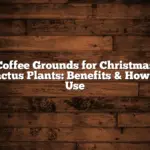 Coffee Grounds for Christmas Cactus Plants: Benefits & How to Use