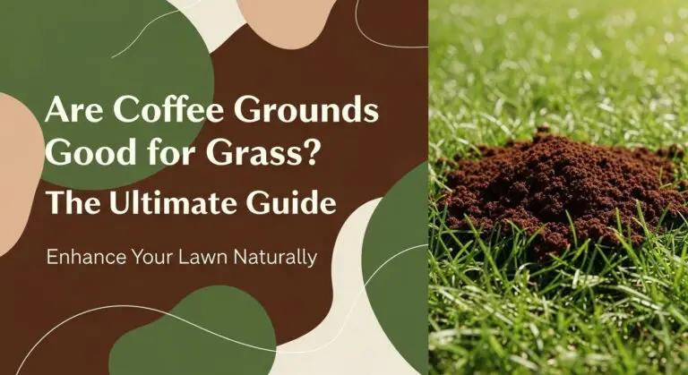 Are Coffee Grounds Good for Grass? The Ultimate Guide