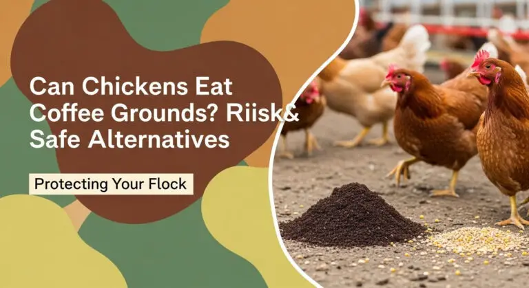 Can Chickens Eat Coffee Grounds? Risks & Safe Alternatives