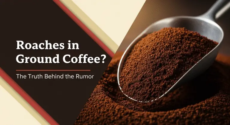 Roaches in Ground Coffee: The Truth Behind the Rumor 9 Roaches in Ground Coffee: The Truth Behind the Rumor
