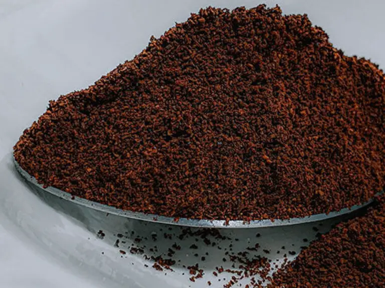 How Many Times Can You Use Coffee Grounds? The Truth Revealed