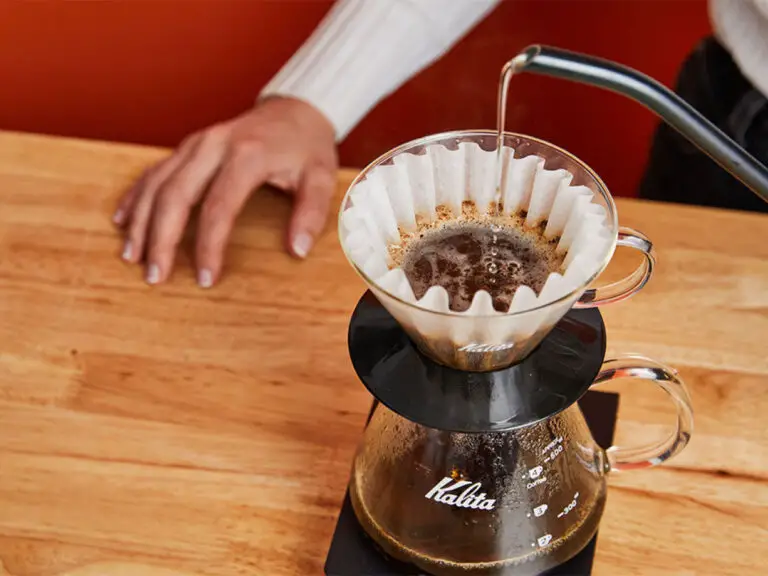 What is Drip Coffee?: Brewing Method, History, Differences, and Tips