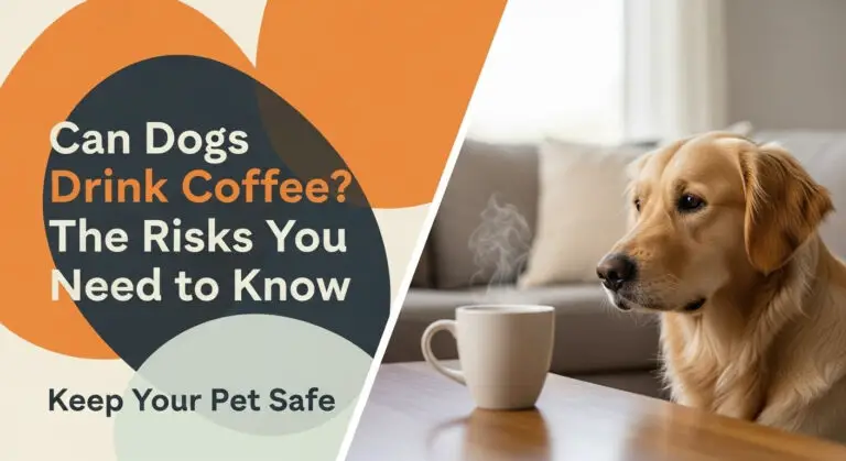 Can Dogs Drink Coffee? The Risks You Need to Know