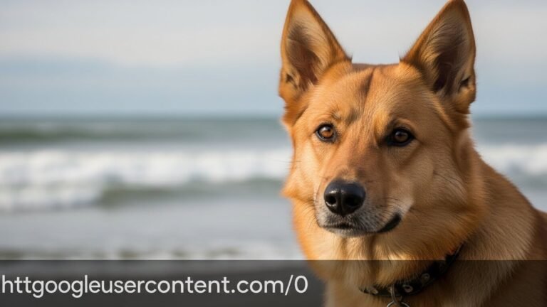 Chocolate Coffee Syrup: Master Easy 5-Ingredient Recipe